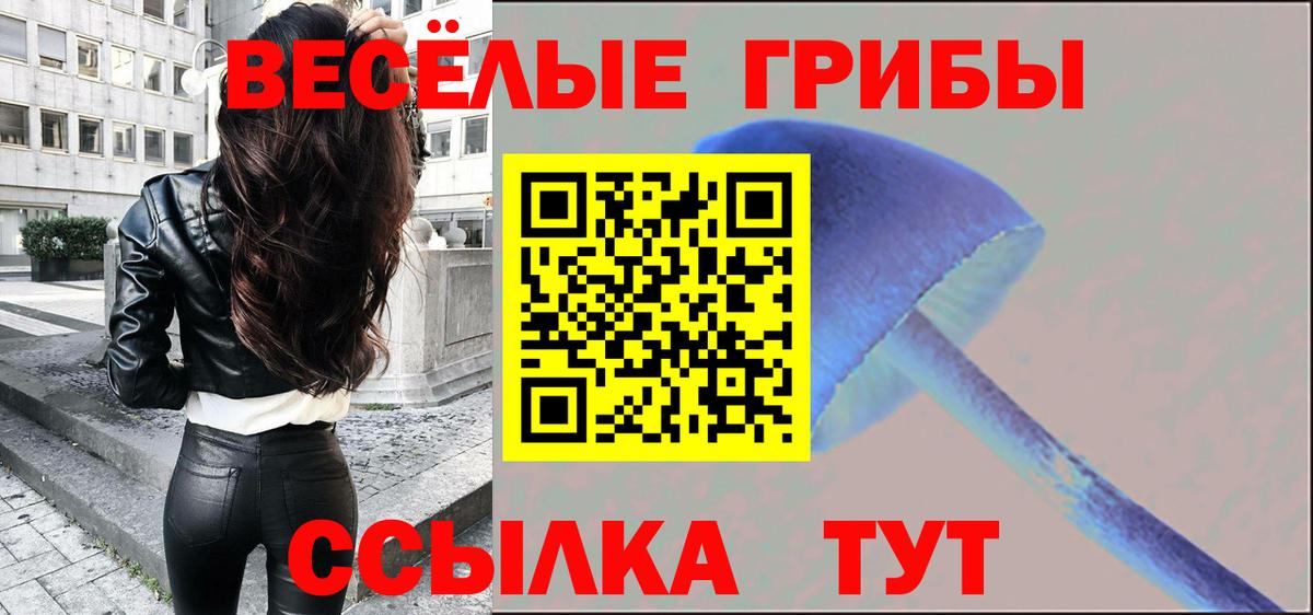 Галлюциногенные грибы GOLDEN TEACHER  Вход с VPN  Заволжье 